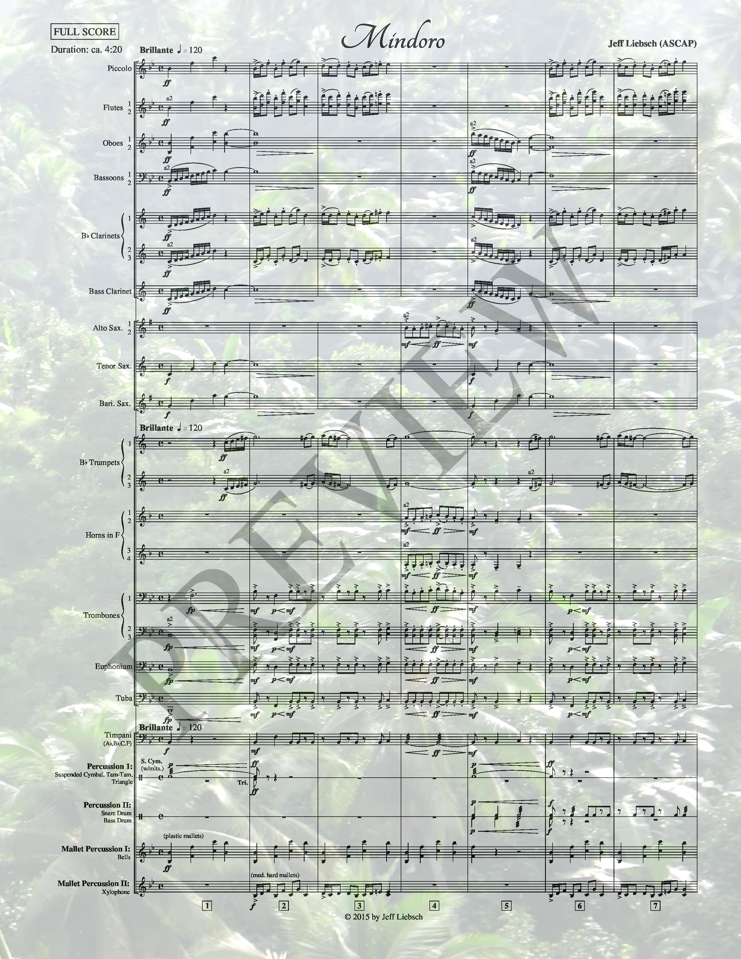 Mindoro (Concert Band)